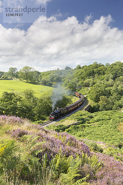 Eine Dampflokomotive  die Waggons durch Darnholme auf der North Yorkshire Steam Heritage Railway zieht  Yorkshire  England  Vereinigtes Königreich  Europa