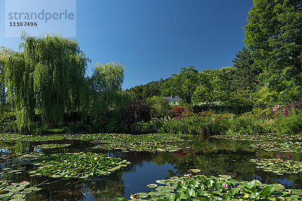Das Haus von Monet hinter dem Seerosenteich  Giverny  Normandie  Frankreich  Europa