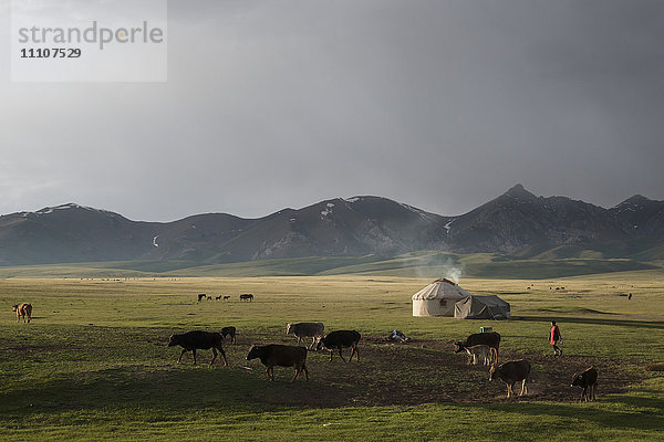 Song-Kol-See  Kirgisistan  Zentralasien