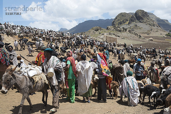 Offener Markt auf dem Weg nach Abuna Yosef  Region Lalibela  Nordäthiopien  Afrika