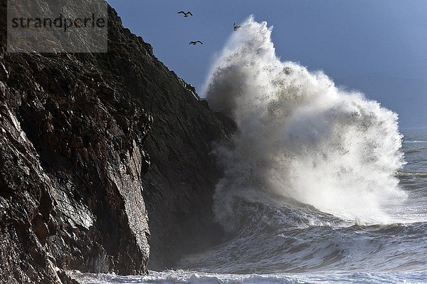 Riesige Wellen schlagen gegen die Klippen von Criccieth  Gwynedd  Wales  Vereinigtes Königreich  Europa