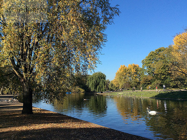 Regent's Park im Herbst  London  England  Vereinigtes Königreich  Europa