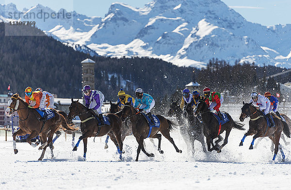 White Turf Internationales Pferderennen  Winter  St. Moritz  Engadin  Graubünden  Schweiz  Europa