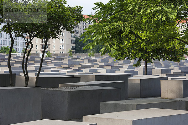 Holocaust-Denkmal für die Juden in Europa  Berlin  Deutschland  Europa