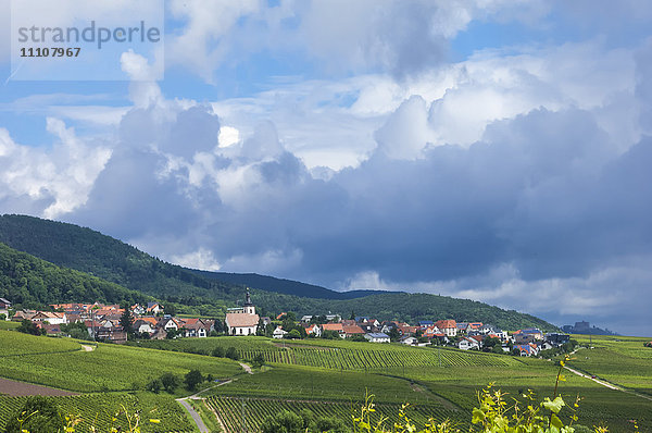 Dorf inmitten von Weinbergen in der Pfalz  Deutschland  Europa