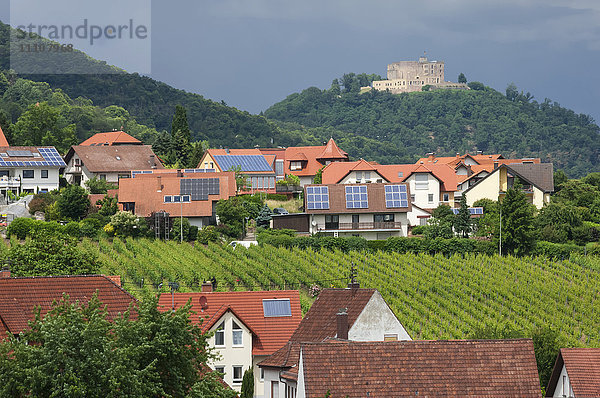 Dorf St. Martin inmitten von Weinbergen in der Pfalz  Deutschland  Europa