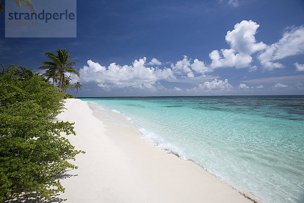Tropische Insel und Lagune  Malediven  Indischer Ozean  Asien