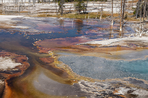Feuerlochquelle  Yellowstone-Nationalpark  UNESCO-Welterbe  Wyoming  Vereinigte Staaten von Amerika  Nordamerika