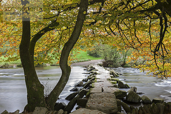 Herbstliche Farben über den Tarr Steps im Exmoor National Park  Somerset  England  Vereinigtes Königreich  Europa