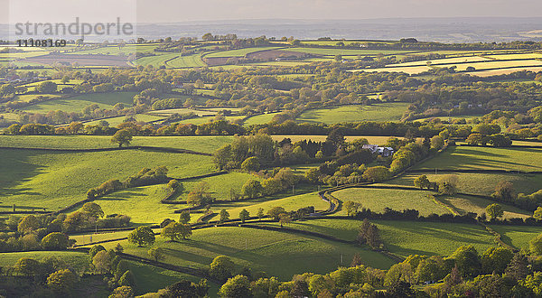 Hügelige Patchwork-Landschaft  Dartmoor National Park  Devon  England  Vereinigtes Königreich  Europa