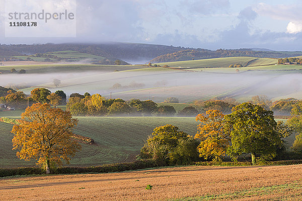 Nebliger Morgen über hügeliger Herbstlandschaft  Dartmoor  Devon  England  Vereinigtes Königreich  Europa