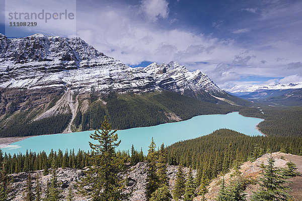 Der wunderschöne Peyto-See in den kanadischen Rockies  Banff-Nationalpark  UNESCO-Weltkulturerbe  Alberta  Kanada  Nordamerika
