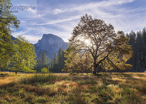 Half Dome von Cook's Meadow  Yosemite Valley  UNESCO-Weltkulturerbe  Kalifornien  Vereinigte Staaten von Amerika  Nordamerika