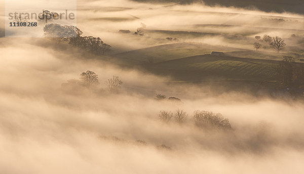 Nebelverhangenes hügeliges Ackerland in der Morgendämmerung  Lake District  Cumbria  England  Vereinigtes Königreich  Europa
