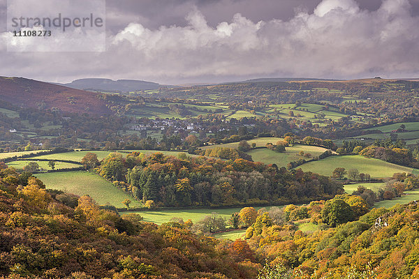 Schöne Herbstfarben über der hügeligen Landschaft des Dartmoor National Park  Devon  England  Vereinigtes Königreich  Europa