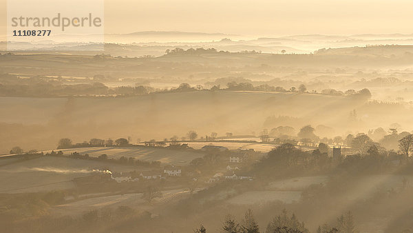 Nebelige Dartmoor-Landschaft in der Morgendämmerung nahe dem Dorf Throwleigh  Devon  England  Vereinigtes Königreich  Europa