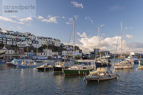 Boote an einem sonnigen Nachmittag im Hafen von Brixham  Devon  England  Vereinigtes Königreich  Europa