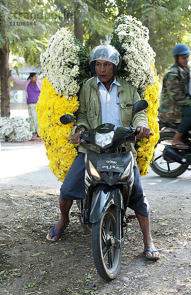 Mann trägt eine große Ladung frischer Chrysanthemen vom Blumenmarkt auf der Straße nach Mandalay  Myanmar (Birma)  Asien