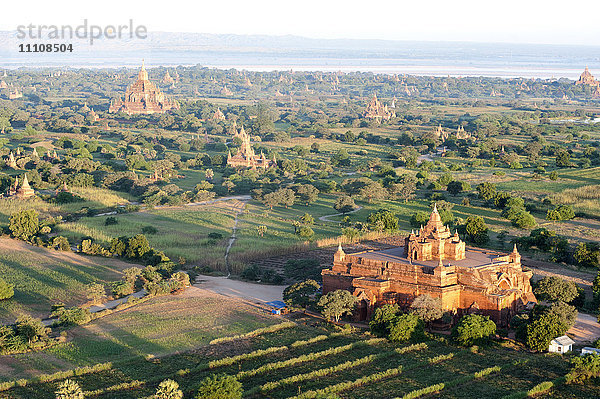 Frühmorgendlicher Sonnenschein über den Terrakotta-Tempeln von Bagan  der Irrawaddy-Fluss in der Ferne  Bagan (Pagan)  Mandalay Division  Myanmar (Burma)  Asien