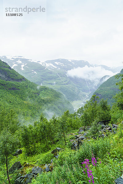 Wasserfälle und Bergtäler vom Vatnahalsen aus gesehen  erreichbar mit der Flamsbahn  Flamsbana  Flam  Norwegen  Skandinavien  Europa