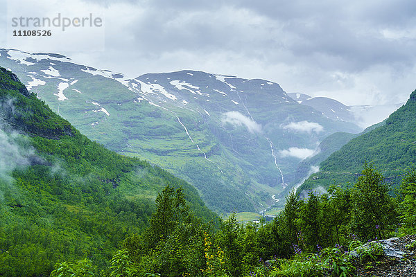 Blick auf Wasserfälle und Wald von der Flamsbahn  Flamsbana  Flam  Norwegen  Skandinavien  Europa