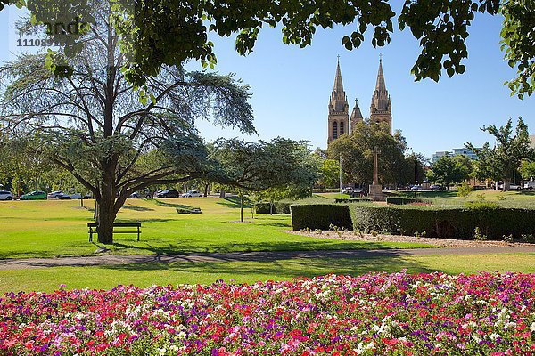 St. Peter's Cathedral  Adelaide  Südaustralien  Ozeanien