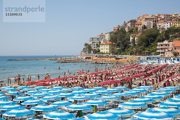 Blick auf den Hafen von Imperia  Imperia  Ligurien  Italien  Europa