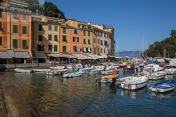 Hafen  Portofino  Genova (Genua)  Ligurien  Italien  Europa