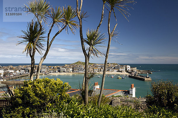 Blick auf die Altstadt und den Hafen mit Smeatons Pier vom Malakoff aus gesehen  St. Ives  Cornwall  England  Vereinigtes Königreich  Europa