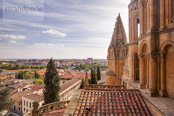 Die Kathedrale in Salamanca  UNESCO-Weltkulturerbe  Kastilien und Leon  Spanien  Europa