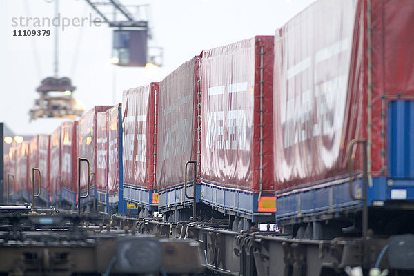 Container auf Güterzug  Duisburg  Nordrhein-Westfalen  Deutschland  Europa