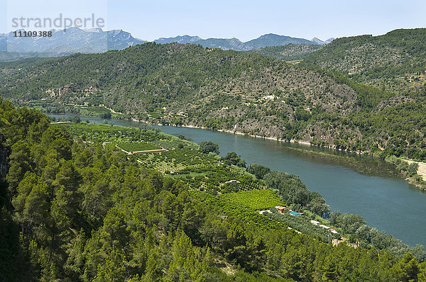 Landschaft am Fluss Ebro  Katalonien  Spanien  Europa