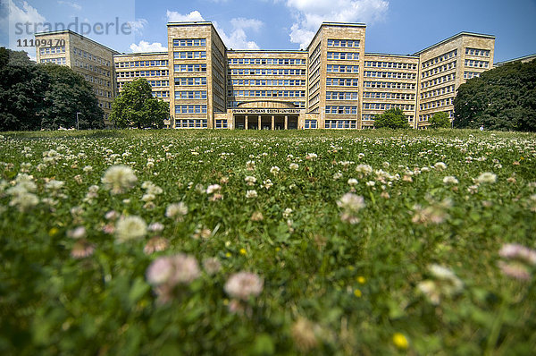 Goethe-Universität  Frankfurt am Main  Hessen  Deutschland  Europa