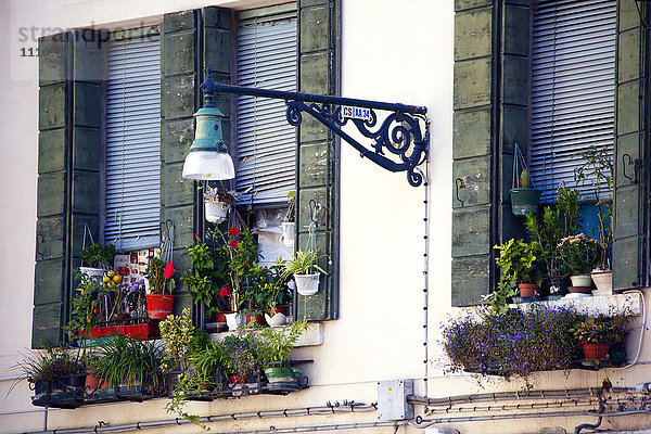Blumen am Fenster  Venedig  Italien  Europa