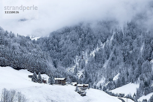 Österreich  Biosphärenpark Großes Walsertal  Sonntag  Chalets und Berghütten  das Tal mit Schnee bedeckt