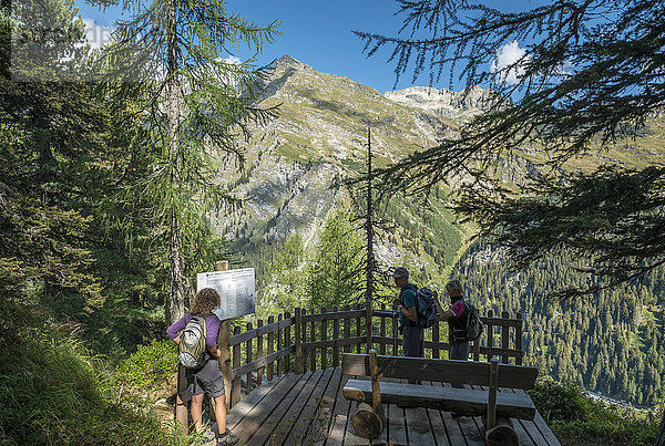 Schweiz  Schweizer Alpen  Der Schmugglerpfad (in der Nähe des Malojapasses)  Aussichtspunkt im Bergell