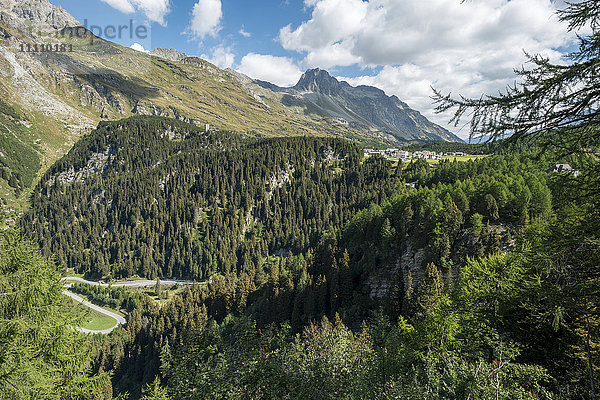 Schweiz  Schweizer Alpen  Der Schmugglerpfad (in der Nähe des Malojapasses)  Aussichtspunkt auf das Bergell und den Malojapass