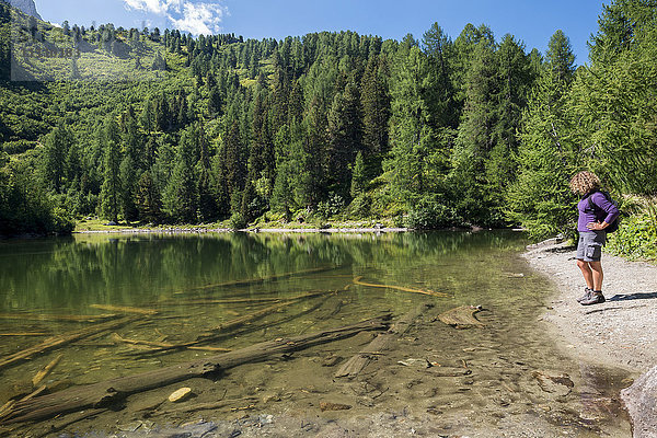 Schweiz  Schweizer Alpen  Der Schmugglerpfad  Lagh da Bitabergh ist ein See in der Nähe des Malojapasses im Bergell (1860 m)