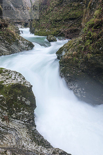 Slowenien  Die Vintgar-Schlucht  Fluss Radovna