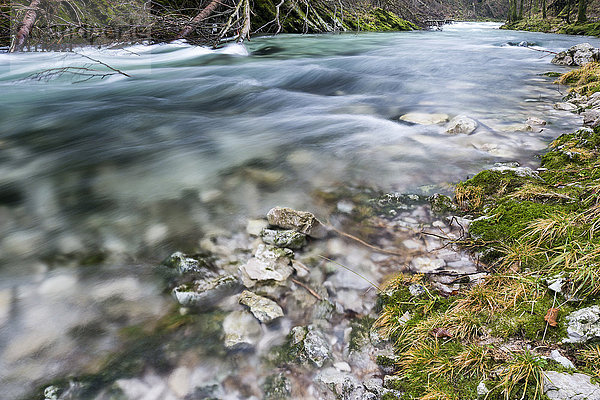 Slowenien  Die Vintgar-Schlucht  Fluss Radovna