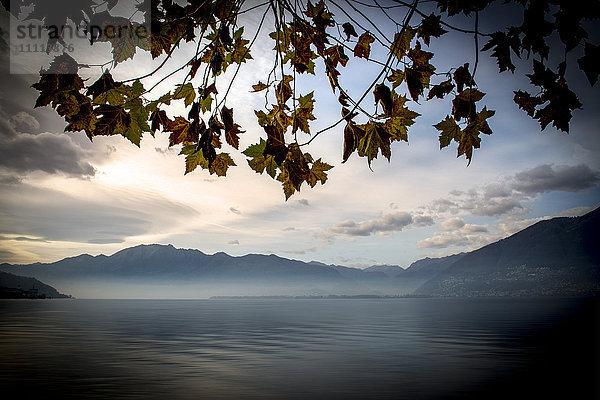 Schweiz  Kanton Tessin  Naturschutzgebiet Bolle di Magadino