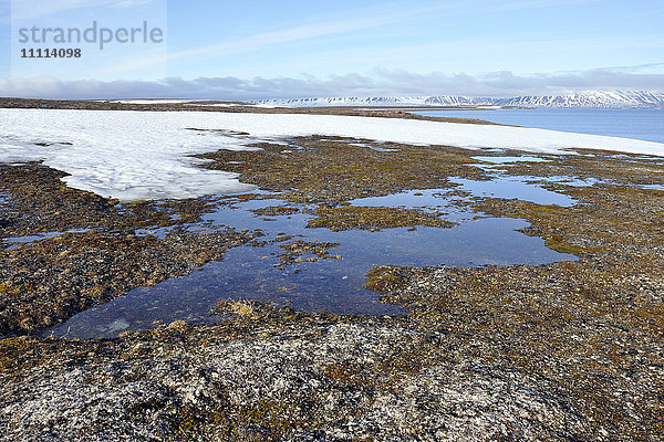 Norwegen  Svalbard-Inseln  Insel Spitzbergen