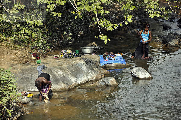 Togo  Umgebung von Lomè  Waschen im Fluss