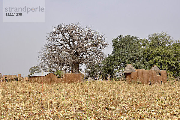 Togo  Dorf Nadoba