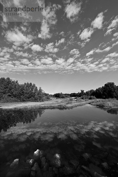 Italien  Lombardei  Parco del Ticino  Tessiner Naturpark  Lanca di Bernate