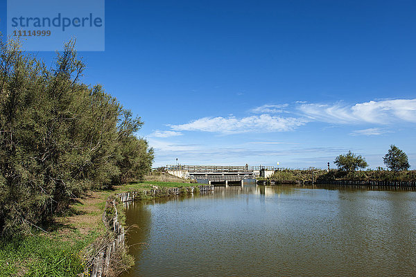 Italien  Emilia Romagna  Valli di Comacchio  Comacchio-Täler  Park Po-Delta