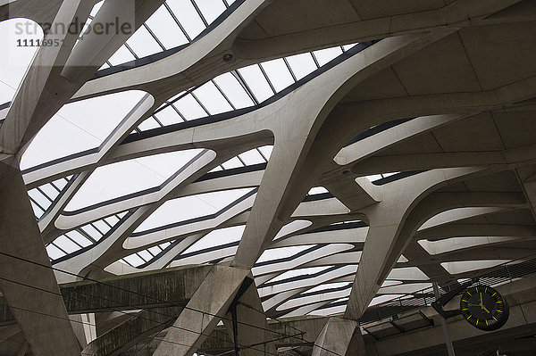 Frankreich - Lyon  eine von den beiden Flüssen Saone und Rhone durchzogene Stadt in der Region Auvergne-Rhône-Alpes. TGV-Bahnhof am Terminal des Flughafens Saint Exupery  entworfen vom Architekten Calatrava