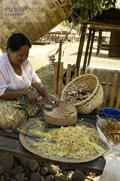 Asien  Myanmar  Taunggyi  Inle-See  Ingwerverarbeitung