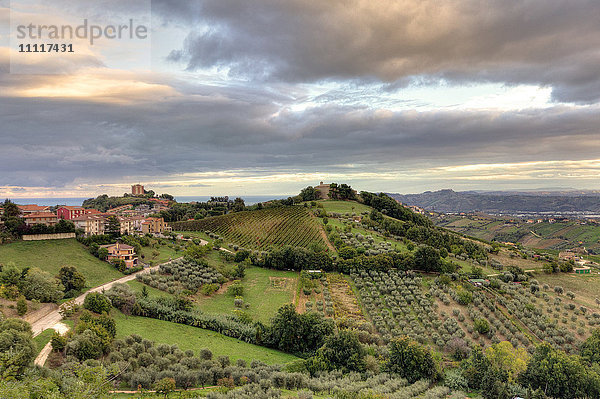 Italien  Marken  Landschaft von Acquaviva Picena