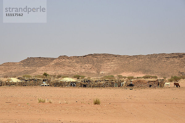 Afrika  Sudan  Nomadenhütte in der Wüste